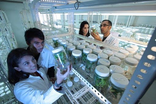 Curso de Auxiliar de Laboratorio
