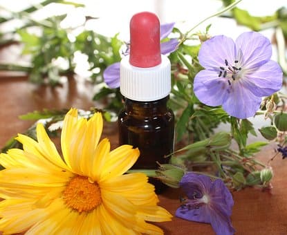 Curso de Homeopatía