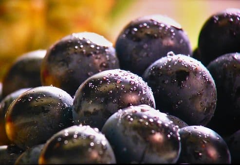 Curso de Microbiología e Higiene Alimentaria