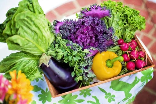 Curso de Nutrición y Herbodietética