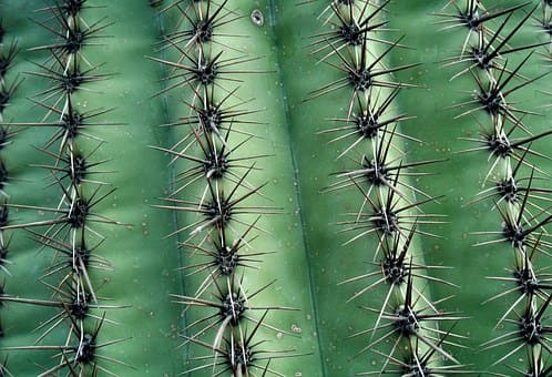 Curso de Operador de Planta de Áridos