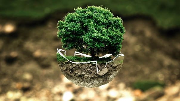Curso de Técnico en Gestión Ambiental