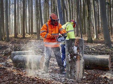 Curso de Trabajador Forestal