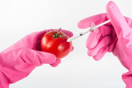 Formación profesional Auxiliar laboratorio industria alimentaria