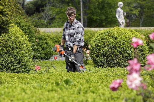 FP Grado Medio en Jardinería y Floristería